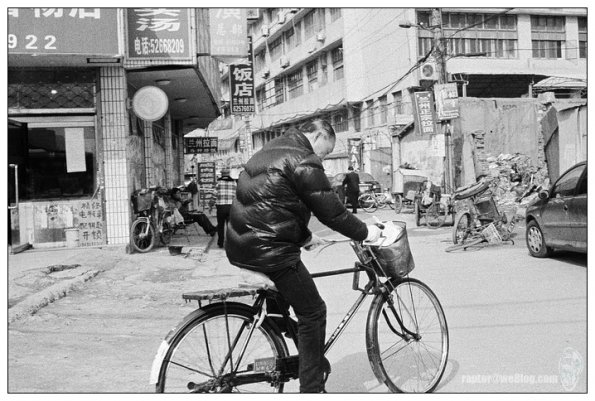曹扬花鸟市场