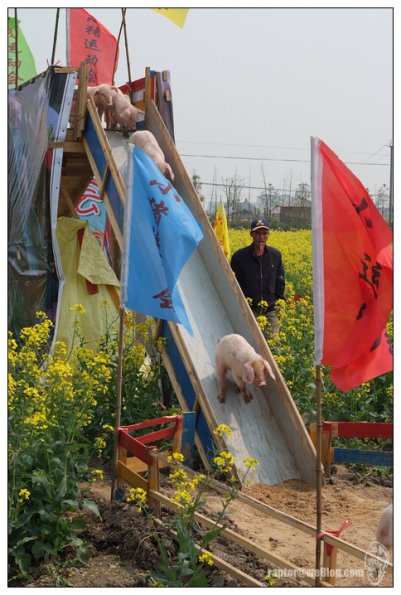 小只鹿滑梯