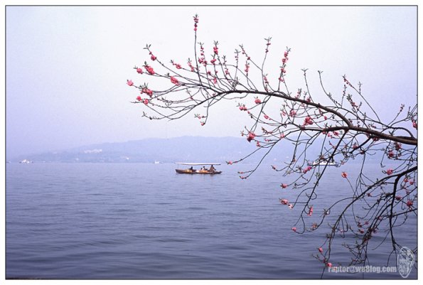 西湖边