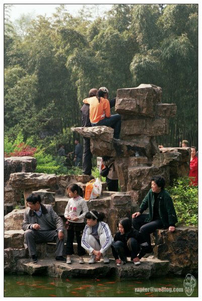个园