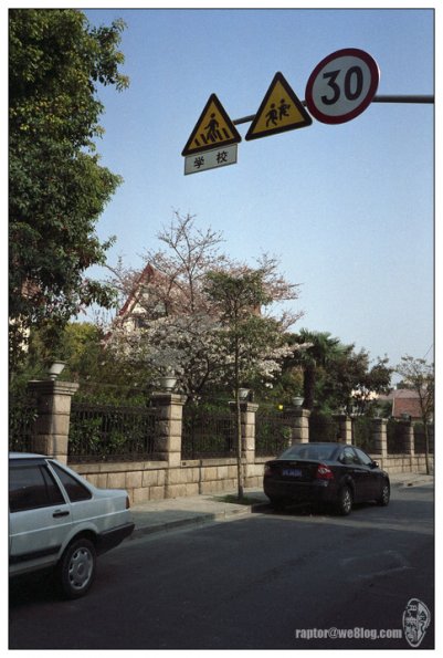 樱花