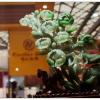5.16珠宝展