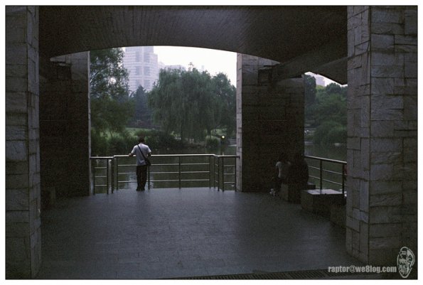 绿地