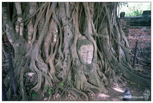 Wat Phra Mahathat