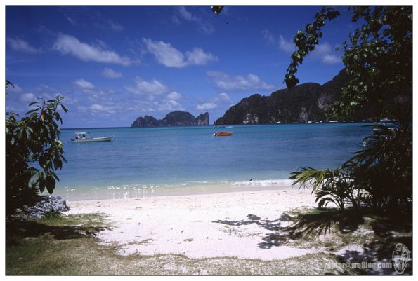 Phi Phi Don Island