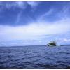 Phi Phi Don Island