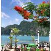 Phi Phi Island