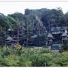 Phi Phi Island