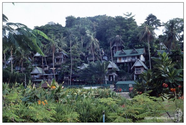 Phi Phi Island