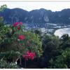 Phi Phi Island