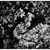 090810KBW0013