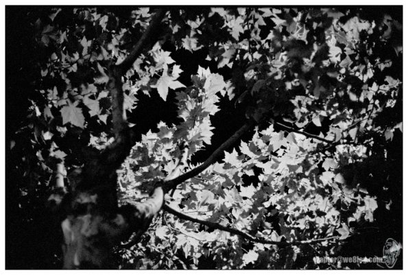 090810KBW0013