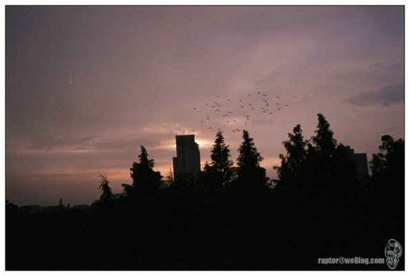 090826FX40022
