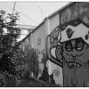 091007LS10006