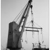 091007LS10014