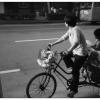 091007LS10036