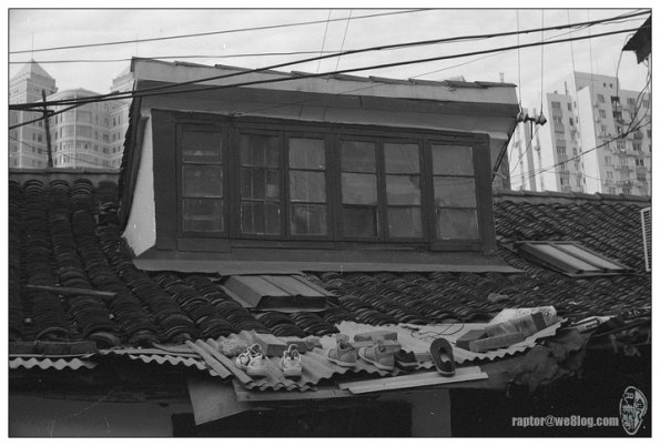 091028LG10032