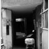091102LS10005