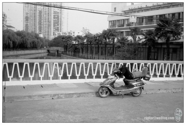 091102LS10012