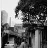 091102LS10026