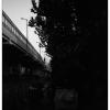 091004KT10025