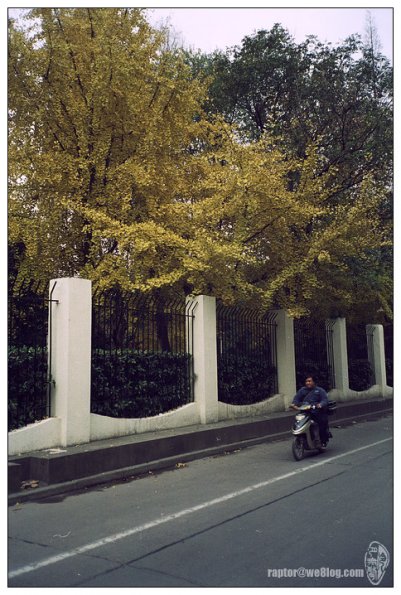 091201KG10028
