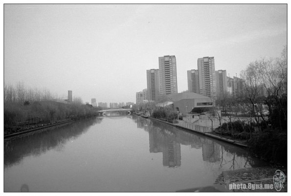 100319LS10031
