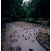 100801RVP0023
