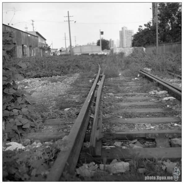 100904GP3104