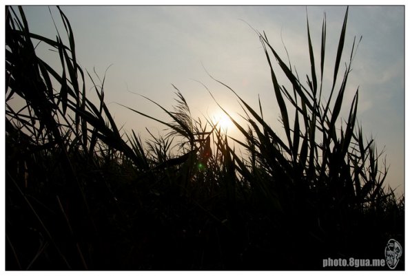 DSCF6704