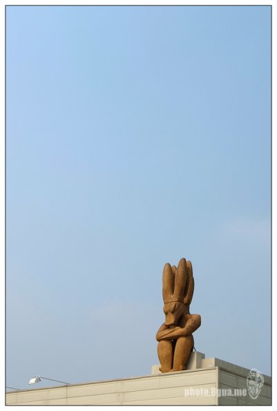 DSCF6764