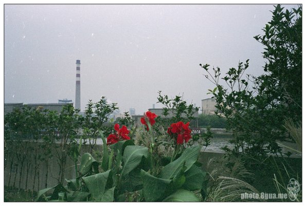101206FX40025