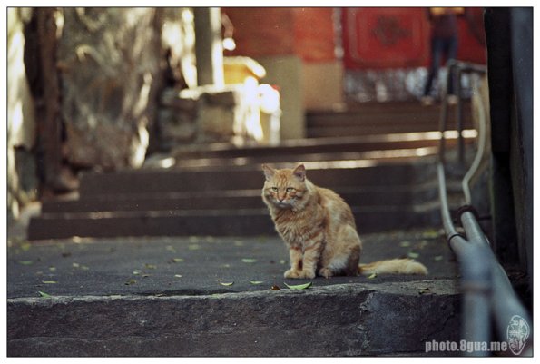 101204FS10034