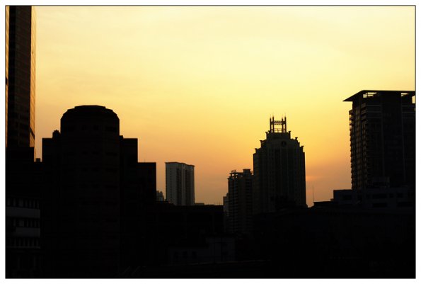SONY DSC