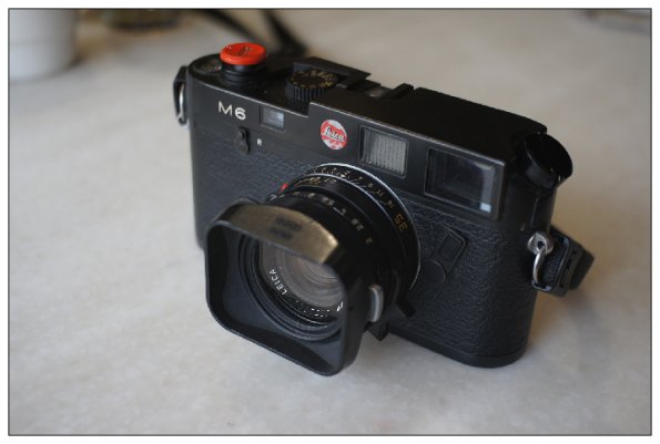 SONY DSC