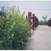 110520LC20027