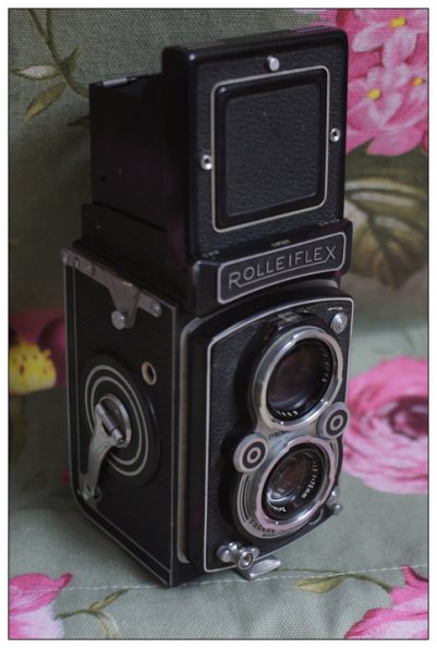 SONY DSC