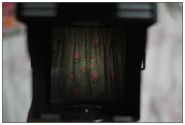 SONY DSC