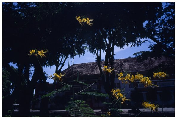 110715KVS0006