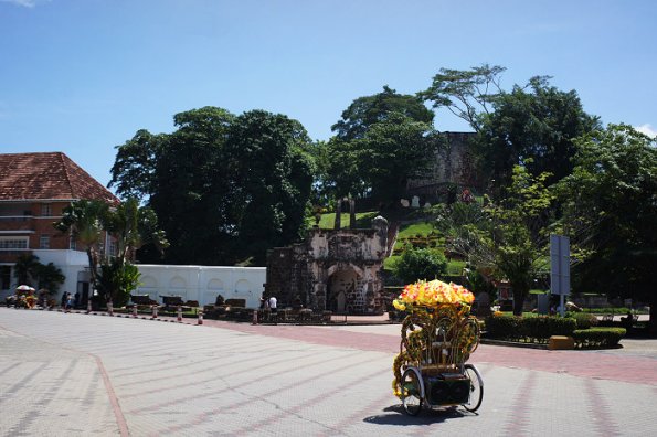 SONY DSC