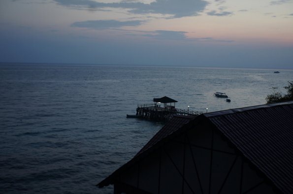 SONY DSC