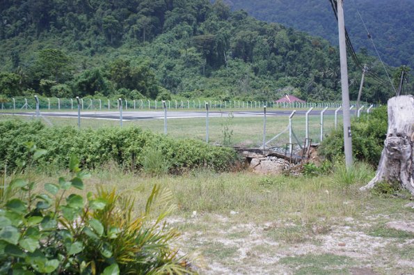 SONY DSC