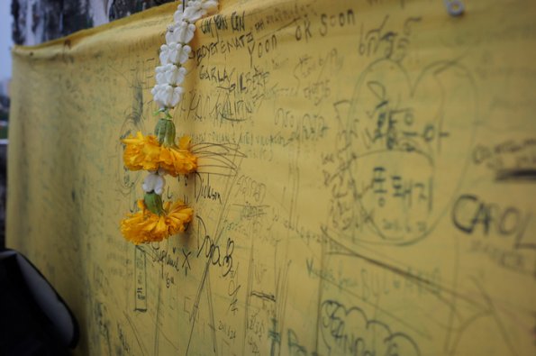 SONY DSC
