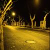 110930RDP002