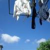 IMG_20110915_092836