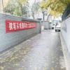 2011-11-05_10-53-20_74