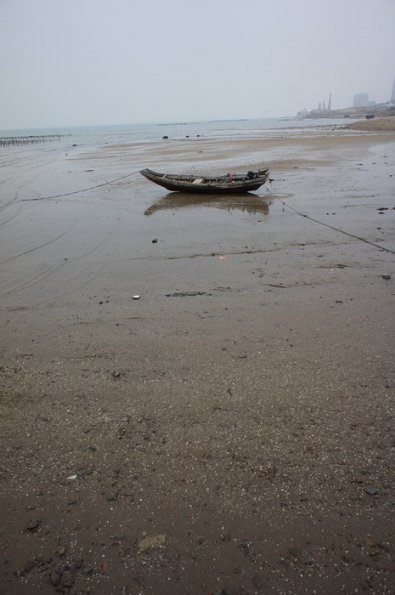 SONY DSC