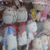 SONY DSC