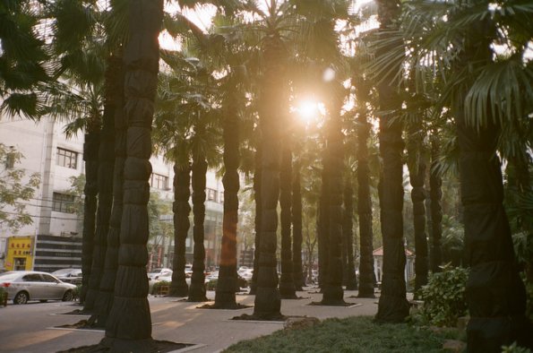120210LC20020