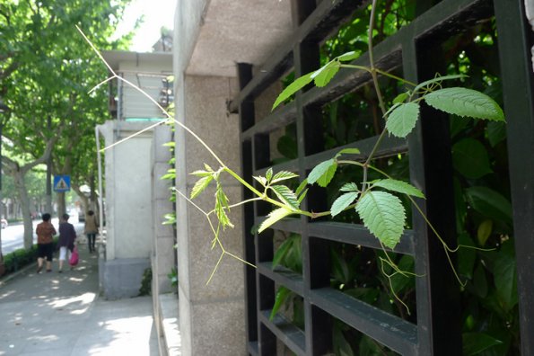 P1000042